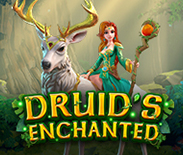 Druid`s Enchanted